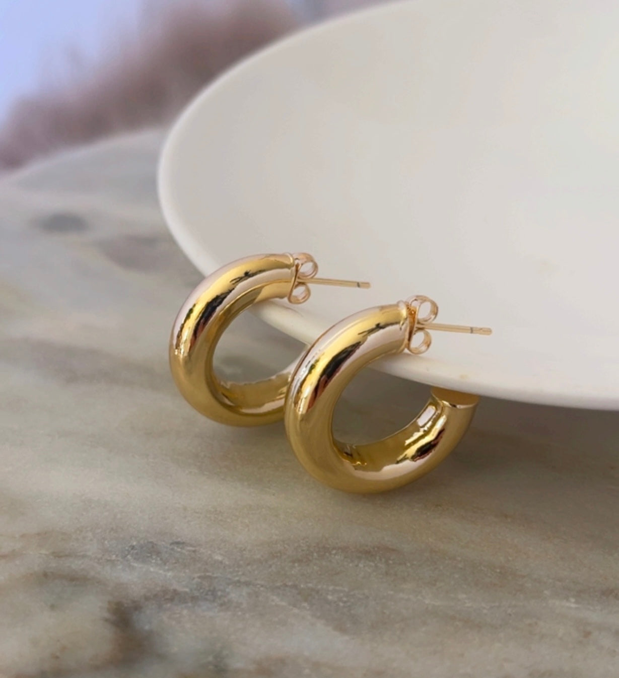 Luxury 18K Gold Plated Earrings